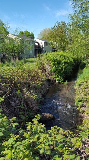 Storm Drain